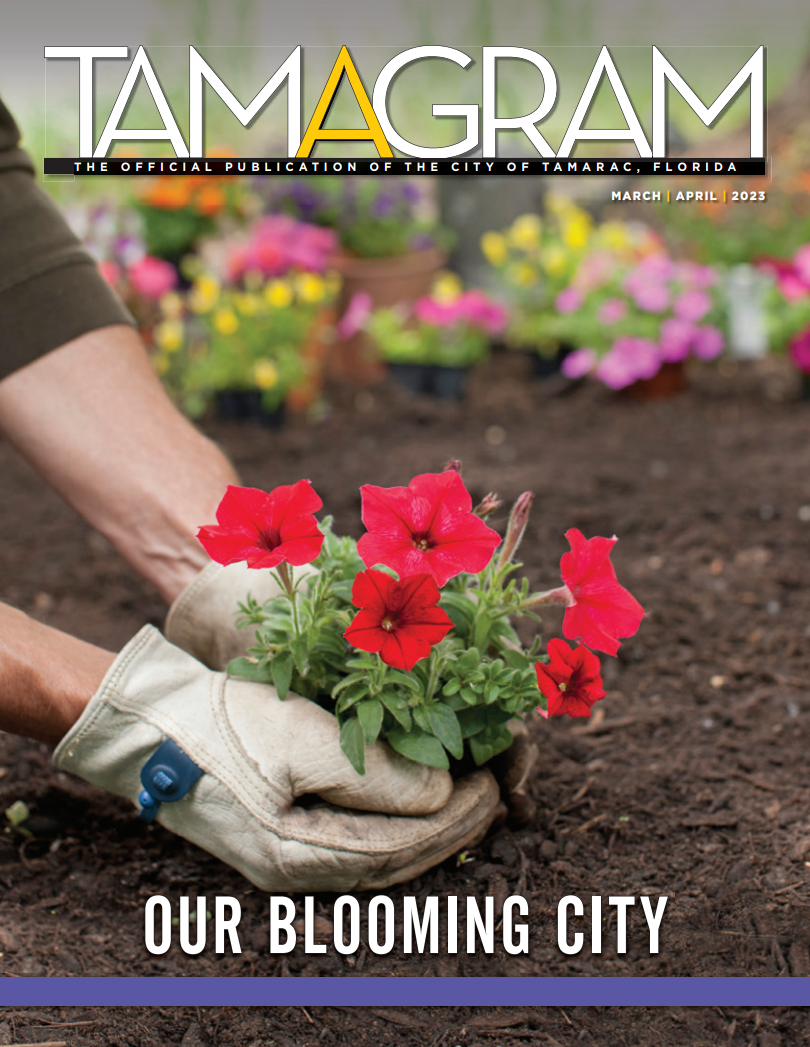 Hands holding flowers