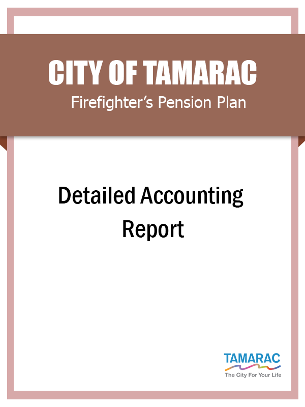 Detailed Accounting FY2020