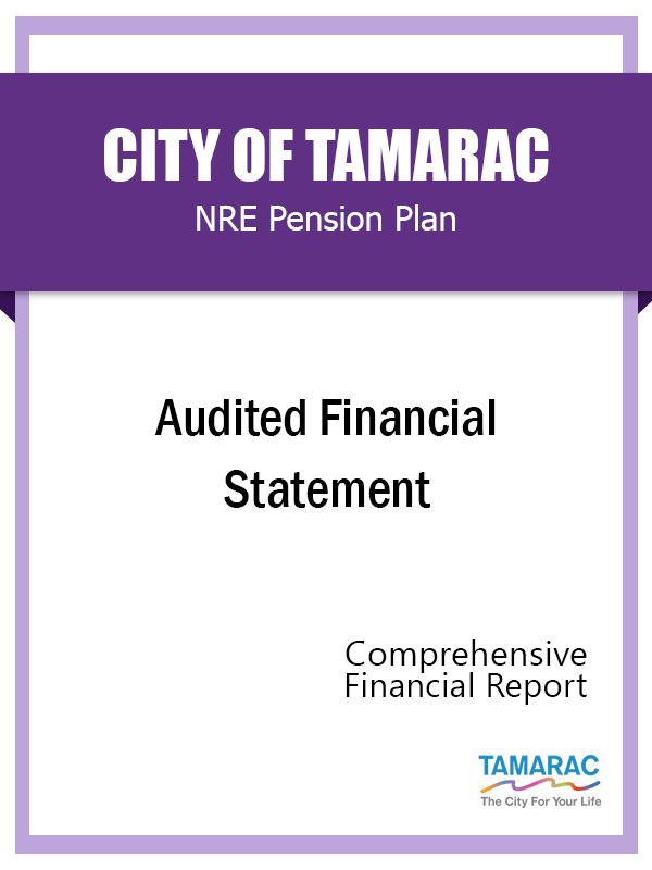 NRE Audited Financial Statement FY 2019